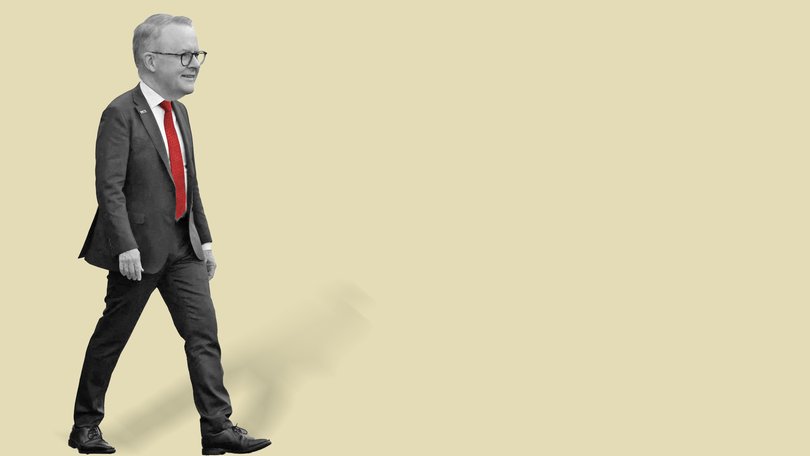 Anthony Albanese won’t be seen as a leader of courage until he takes on Labor’s supporters who don’t believe Israel has a right to exist, writes Stephen Johnson.