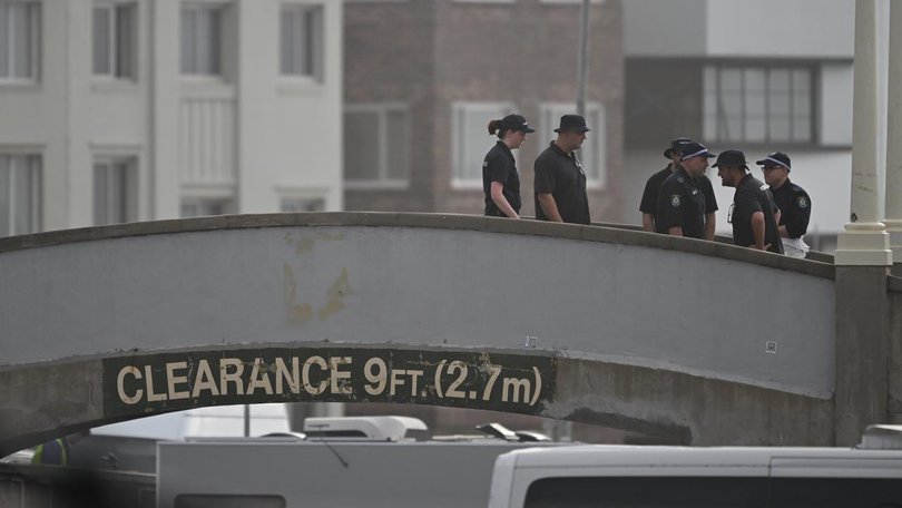 The alleged Bondi terror plot by IS-inspired shooters was "entirely predictable", experts say. (Dean Lewins/AAP PHOTOS)