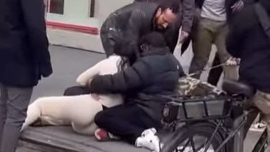 The dog had latched onto the innocent one-year-old’s left leg outside of the Santander Bank in Union Square.