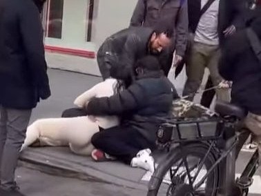 The dog had latched onto the innocent one-year-old’s left leg outside of the Santander Bank in Union Square.