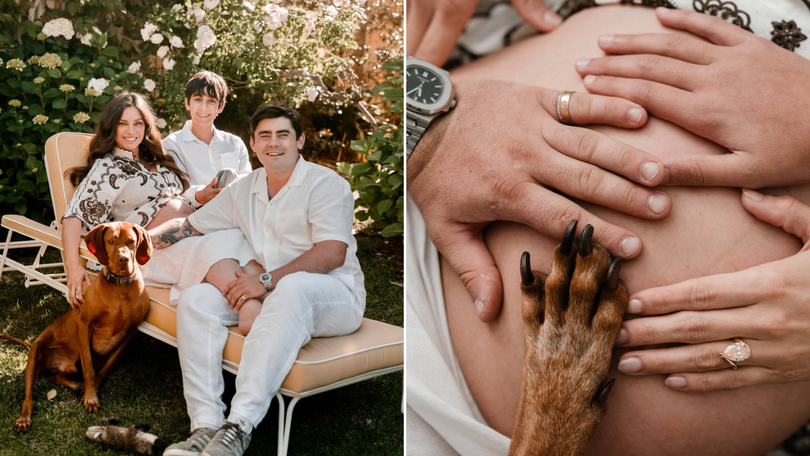 The Masterchef favourites first announced they were starting a family in October. 