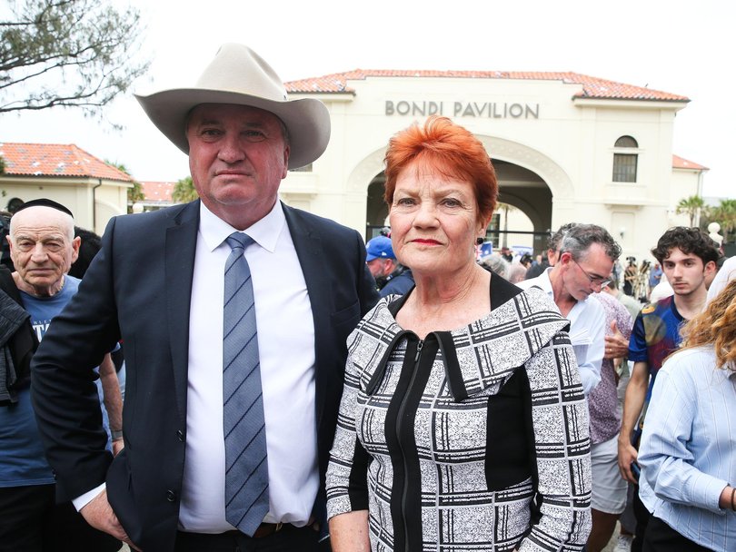 One Nation’s surge in support has been boosted by Pauline Hanson’s leadership and Barnaby Joyce’s recruitment of former Nationals voters. Photo: Gaye Gerard /NewsWire