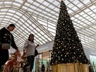Australian shoppers are expected to spend more than $3 billion in the Boxing Day sales. (Diego Fedele/AAP PHOTOS)