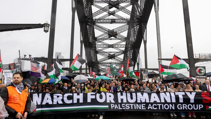 The staggering costs taxpayers have been forced to fork out after police attempted to block two pro-Palestine protests have been revealed.