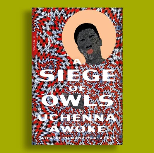 From the Author of The Liquid Eye of a Moon comes a bold new work.