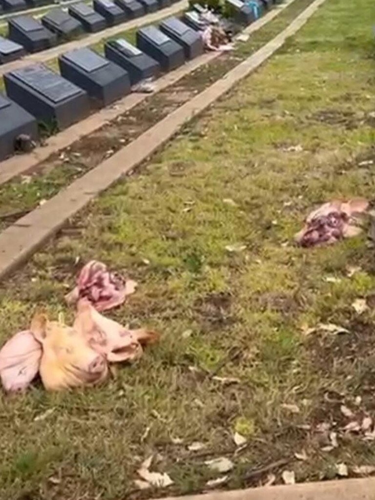 An Islamic cemetery in Western Sydney was desecrated the morning after the Bondi attack.