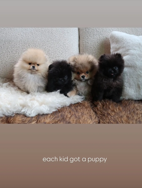 The reality TV star gifted each of her four children their own puppy. 