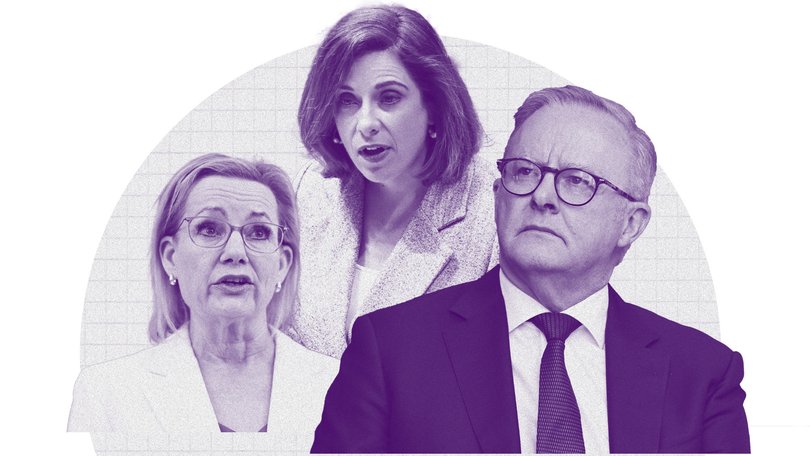 2025 was year of the shirker