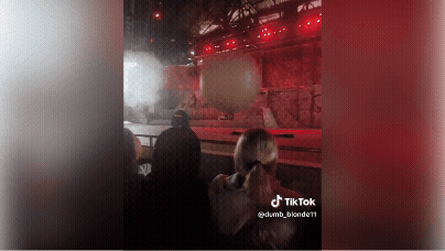 Disney worker takes on 180kg boulder to save crowd.