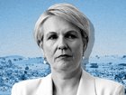 Tanya Plibersek says she “one hundred per cent understands” why people are calling for greater accountability about how the Bondi Beach shooting happened.