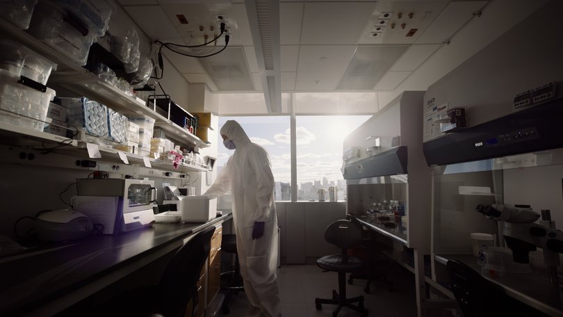 A scientist works at Gameto's lab facility in New York. MUST CREDIT: Gameto