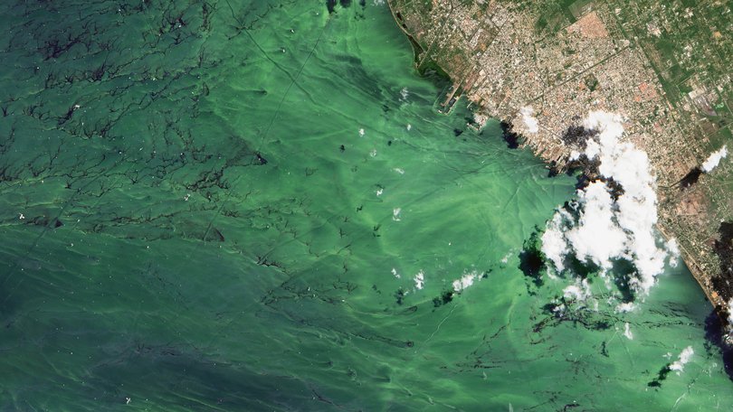 FILE: Ciudad Ojeda on Lake Maracaibo, an important shipping route with the lakes oil rigs located in the Zulia State in Venezuela, South America. 