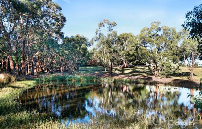 Rural views are a drawcard of the Victorian property. Pic: Cotality