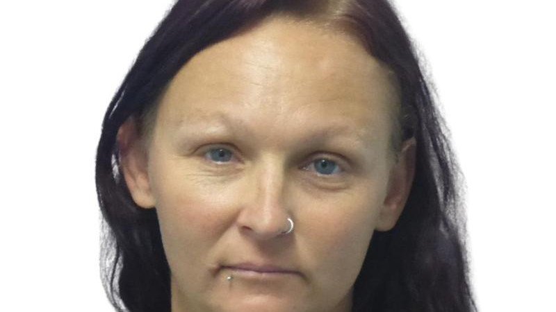 Police are treating the disappearance of Trish Graf as a major crime. (HANDOUT/SOUTH AUSTRALIA POLICE)