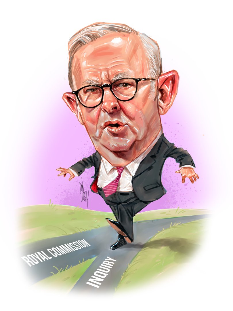 Albanese's Choice Illustration: Don Lindsay