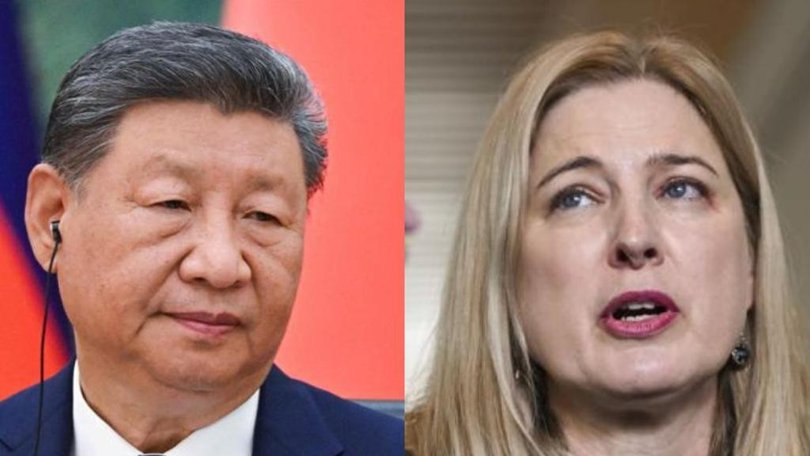 Agriculture Minister Julie Collins says the government has ‘serious concerns’ about China’s beef tariffs.