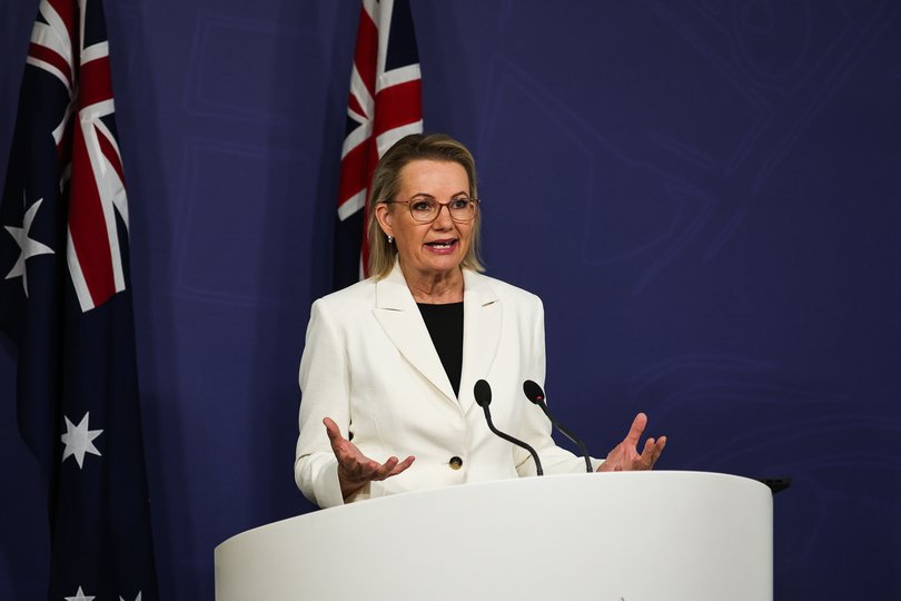 Opposition Leader Sussan Ley. 