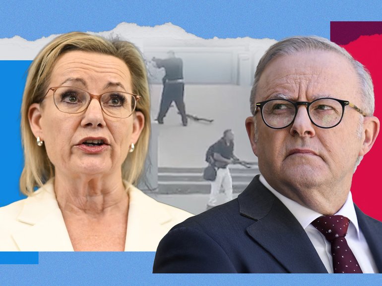 Sussan Ley said the royal commission needed to examine the decision making within the government.