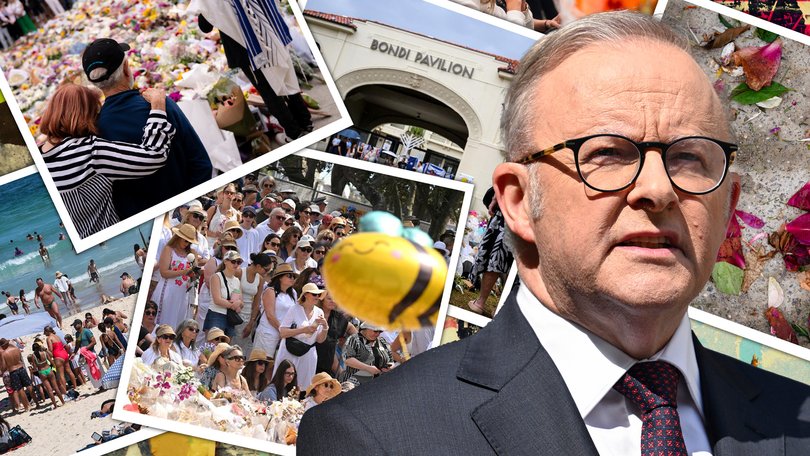 A top lawyer has slammed the ‘unnecessary duplication’ of the investigation into the Bondi attack.