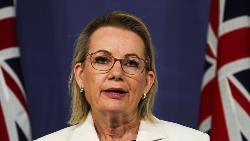 The Leader of the Opposition Sussan Ley addresses the media in a press conference in Sydney. 