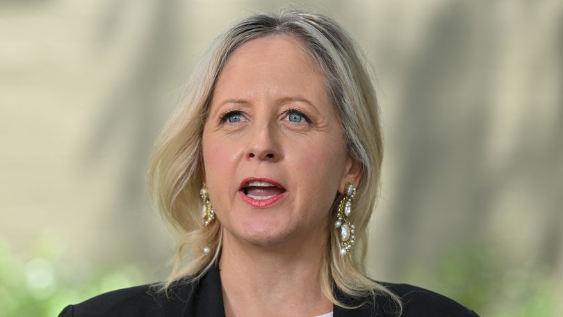Shadow Minister for Communications Melissa McIntosh.