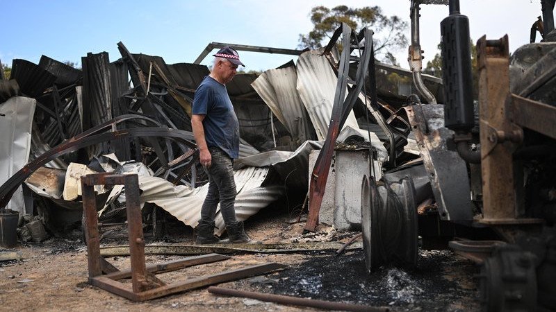 Fires in Victoria have destroyed at least 115 structures and 300,000 hectares of bush and farmland. 