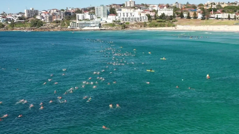 Hundreds rally at Bondi Beach for a swim out for Dyson.