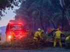 Communities counting the cost of devastating bushfires have been promised financial support.  (Michael Currie/AAP PHOTOS)