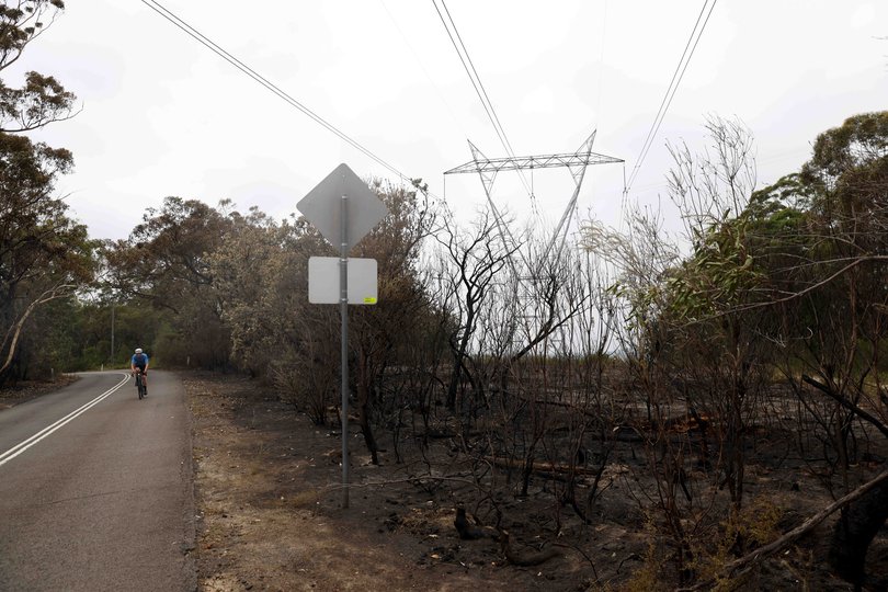 Burnt bush under power lines at the scene of yesterdays Mount Colah bush fire off Kuring-Gai Chase Road in Mount Colah.