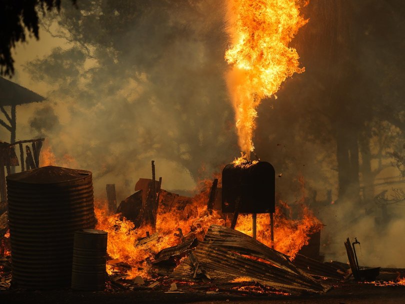 Parts of Victoria have been devastated by bushfires. 