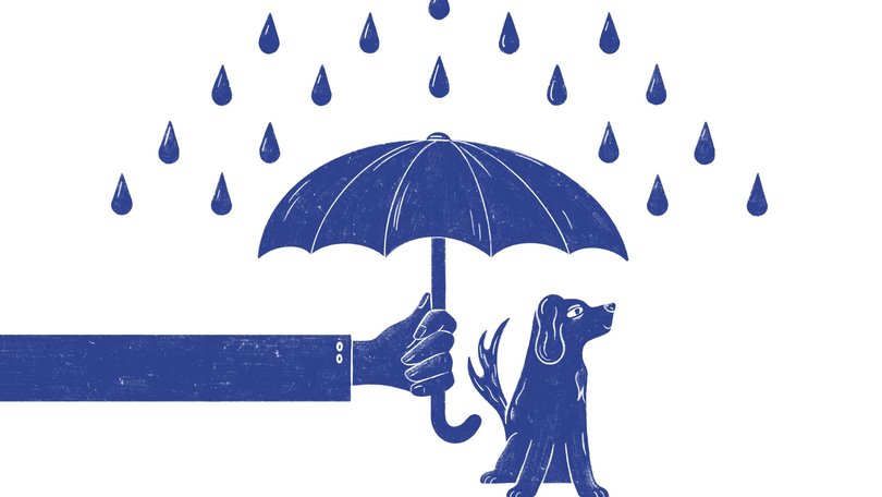 Some people are wired to put the safety of complete strangers first.