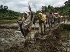 Rohingya refugees fleeing violence in Myanmar cross the border into Bangladesh, August 31, 2017. 
