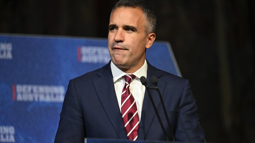 South Australian Premier Peter Malinauskas.