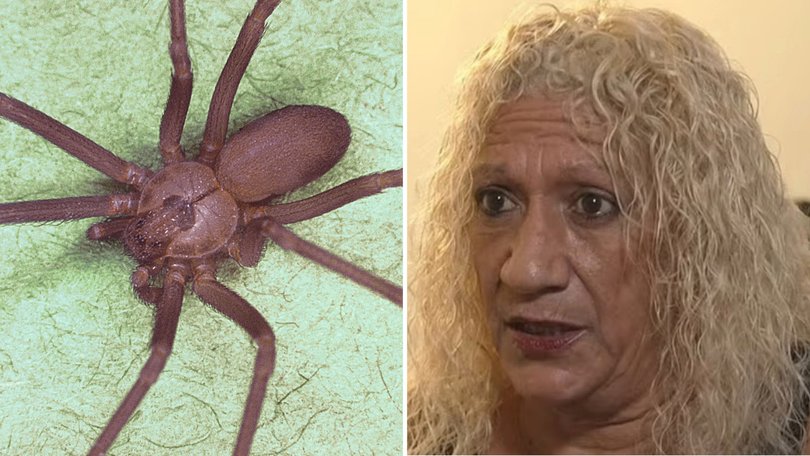 A woman is taking legal action after her landlord allegedly ignored a venomous spider plague, costing her two toes and her home.
