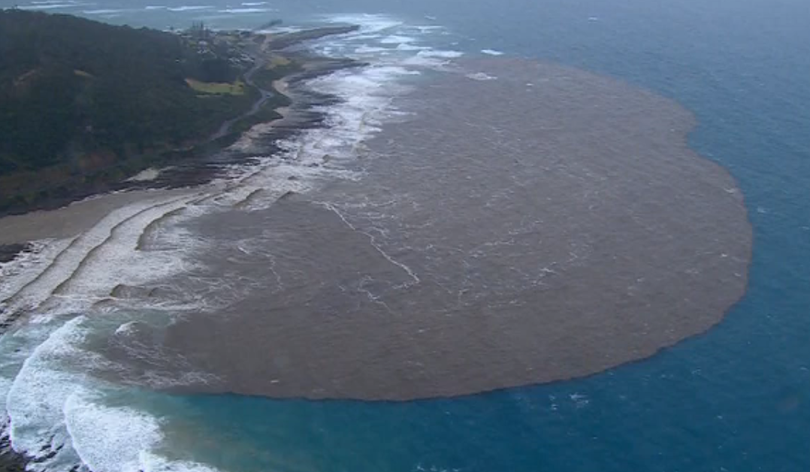 Along the Great Ocean Road.
