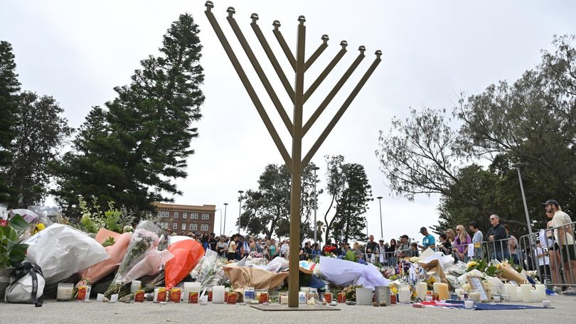 The Australia Israel and Jewish Affairs Council backs a delay to refine Labor's hate speech changes. (Mick Tsikas/AAP PHOTOS)