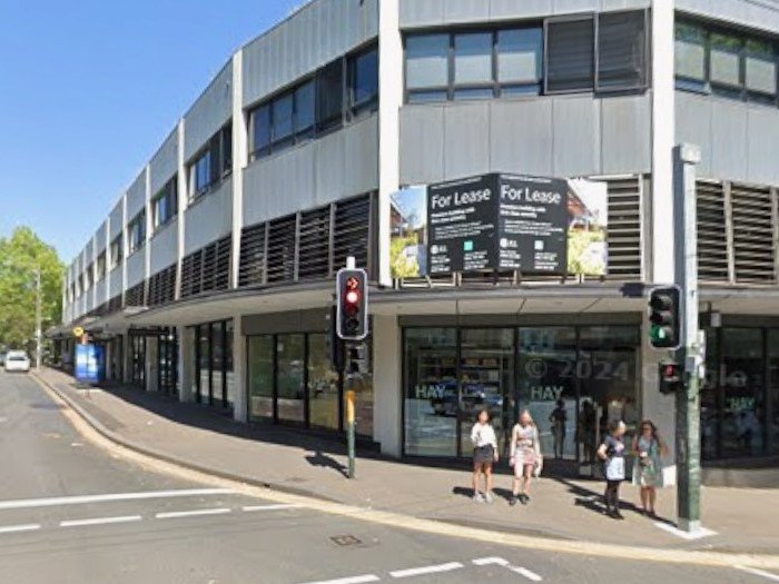 An electrified man hole cover has killed a woman's dog.