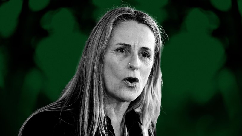 Greens NSW MP Sue Higginson.