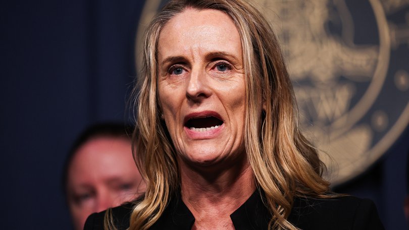 Greens NSW MP Sue Higginson.