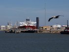 The Nave Photon crude oil tanker, carrying a shipment of Venezuelan oil, docked at the Enterprise Marine Terminal in Freeport, Texas, US, on Wednesday.