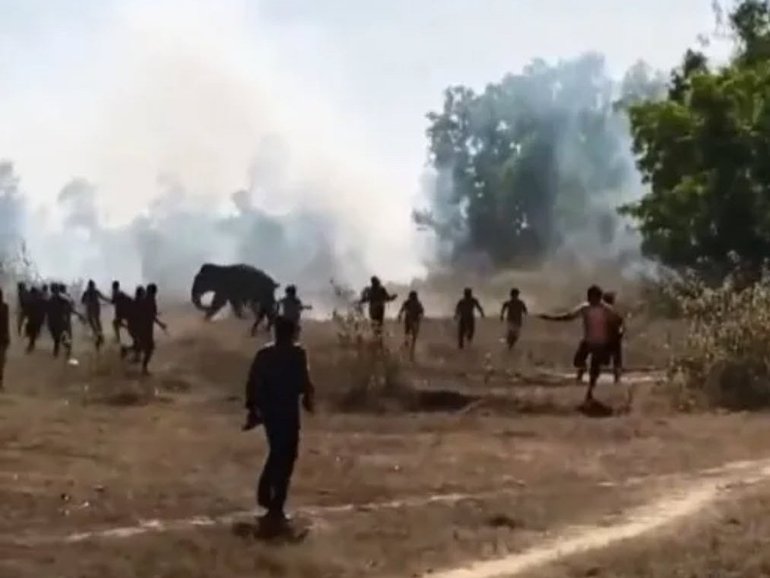The lone bull elephant has killed at least 20 people, including four children.