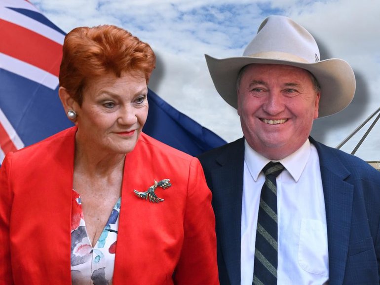 One Nation has seen a surge in support.