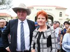 One Nation has seen a surge in support.