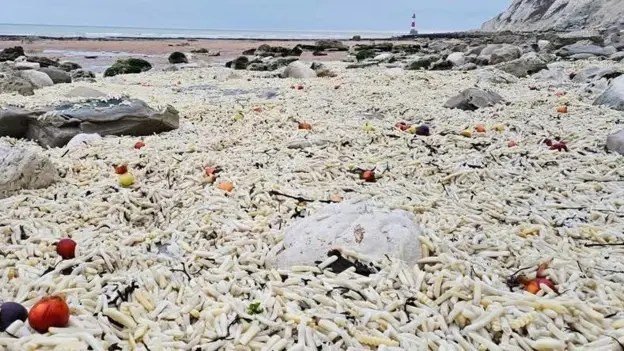A popular beach has become the unlikely resting place of tens of thousands of uncooked chips - with beachgoers left puzzled as to where they came from.
