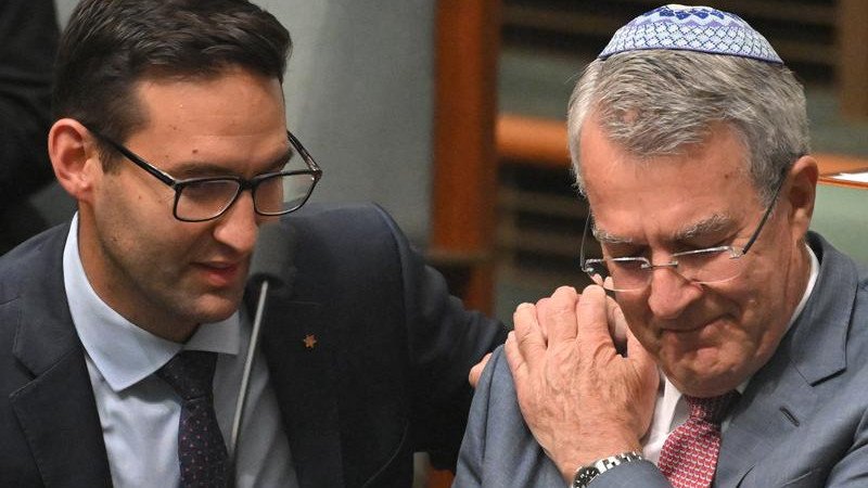 Jewish MPs Josh Burns and Mark Dreyfus have told federal parliament of the deep community grief. 