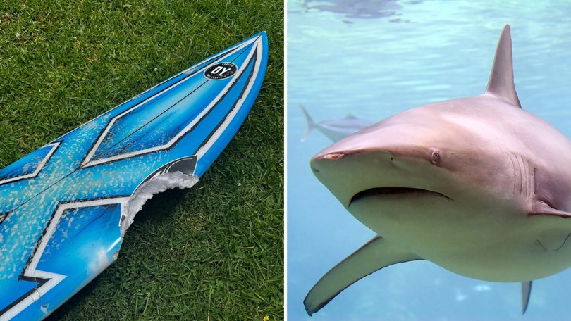 The boy was unhurt but authorities have ordered swimmers out to the water and the beach closed.