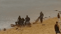 A group of people helped drag the man to shore after the shark attack. 