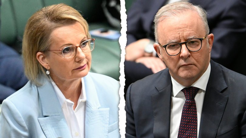Sussan Ley and Anthony Albanese during the Victims of the Bondi antiemetic terror attack - Condolence motion at Parliament House in Canberra. 