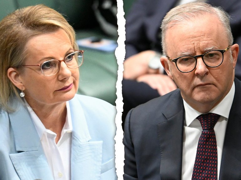 Sussan Ley and Anthony Albanese during the Victims of the Bondi antiemetic terror attack - Condolence motion at Parliament House in Canberra. 
