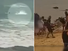 New footage shows a surfer being pulled underwater by a shark at Manly Beach in  Sydney.